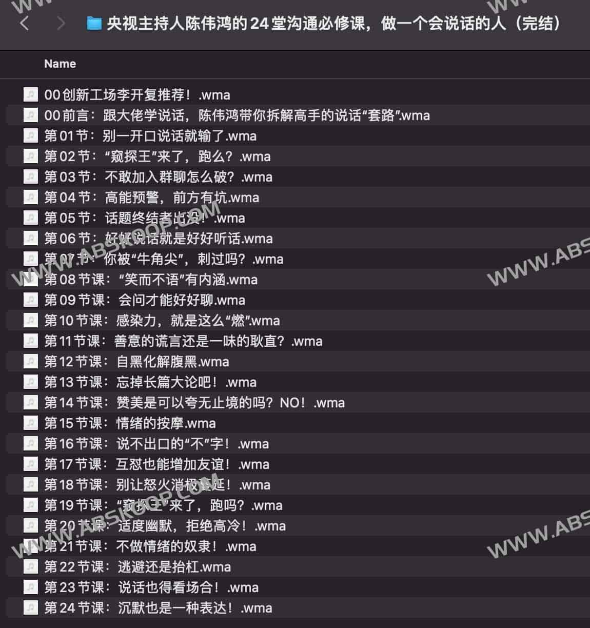 陈伟鸿沟通技巧全集（24 讲）：央视主持人实战对话指南与资源下载