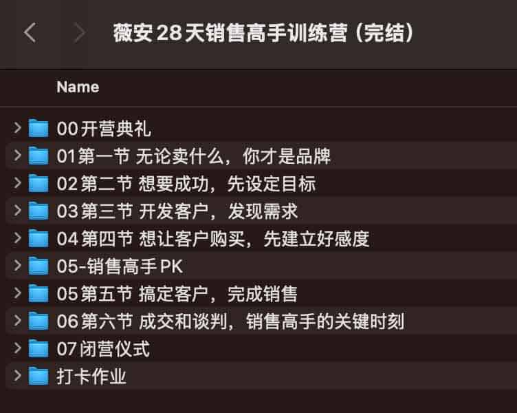 薇安销售高手进阶指南：28 天实操训练全流程步骤解析