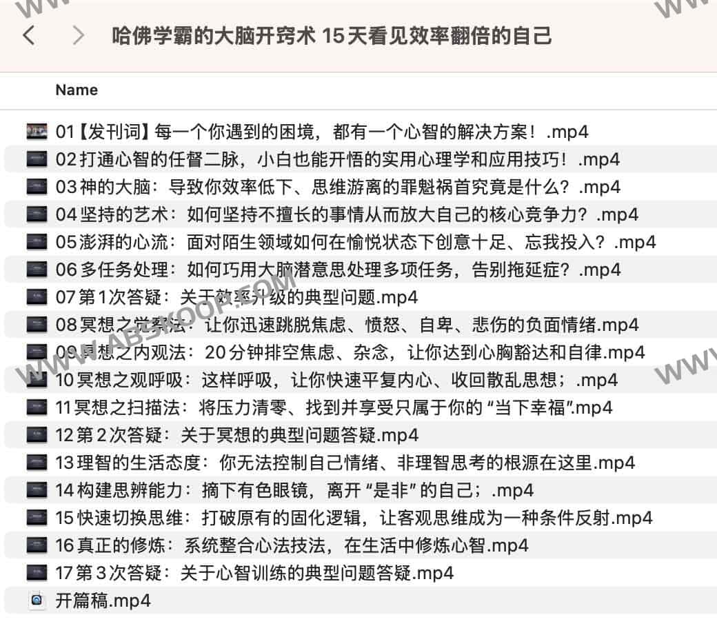 哈佛高效学习法实操指南：15 天习惯养成计划与认知升级路径