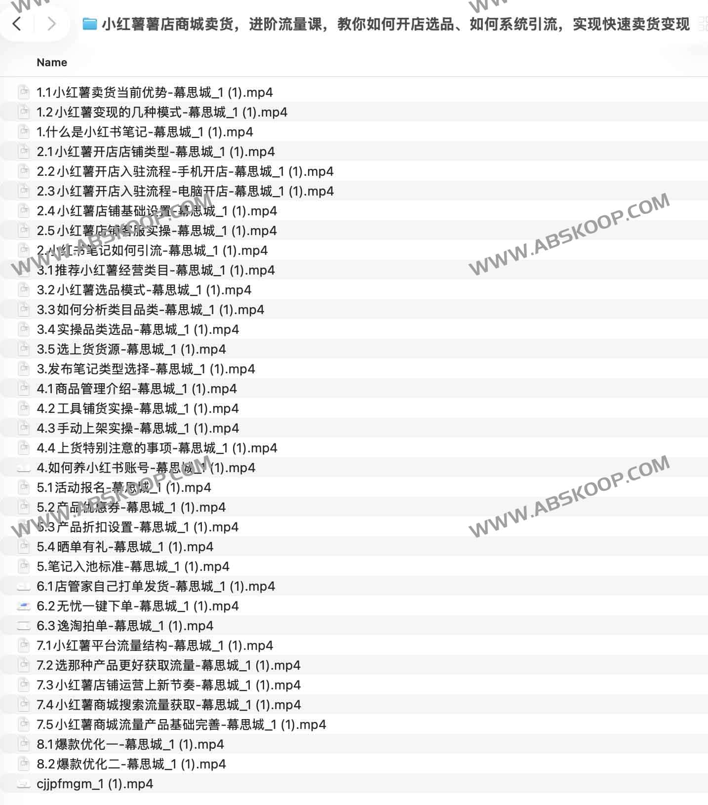 小红书薯店开店与选品全流程指南：系统引流实操及变现技巧详解