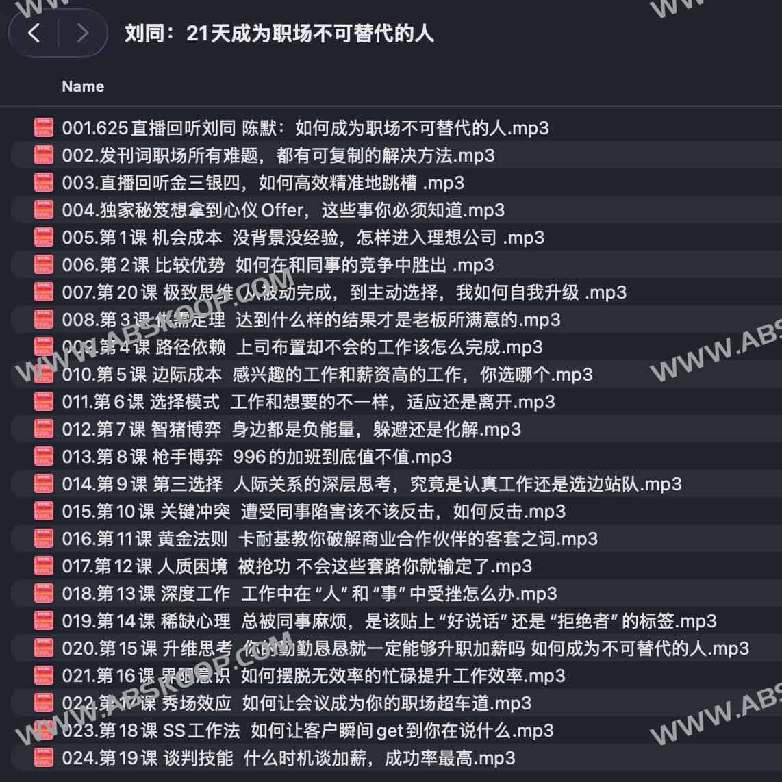 构建职场核心竞争力：通过 21 天系统训练实现个体不可替代性