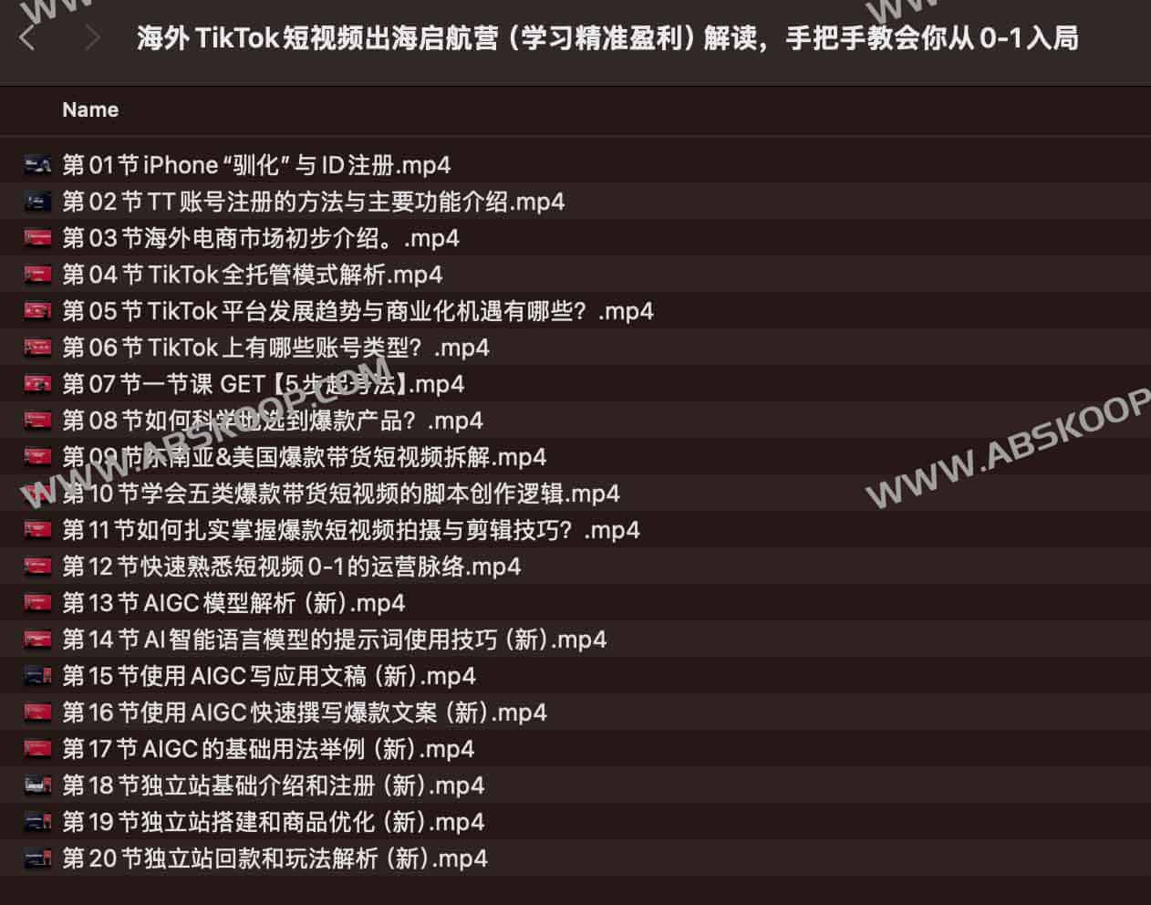 TikTok 海外短视频获利实操指南：从零起步的入局路径解析