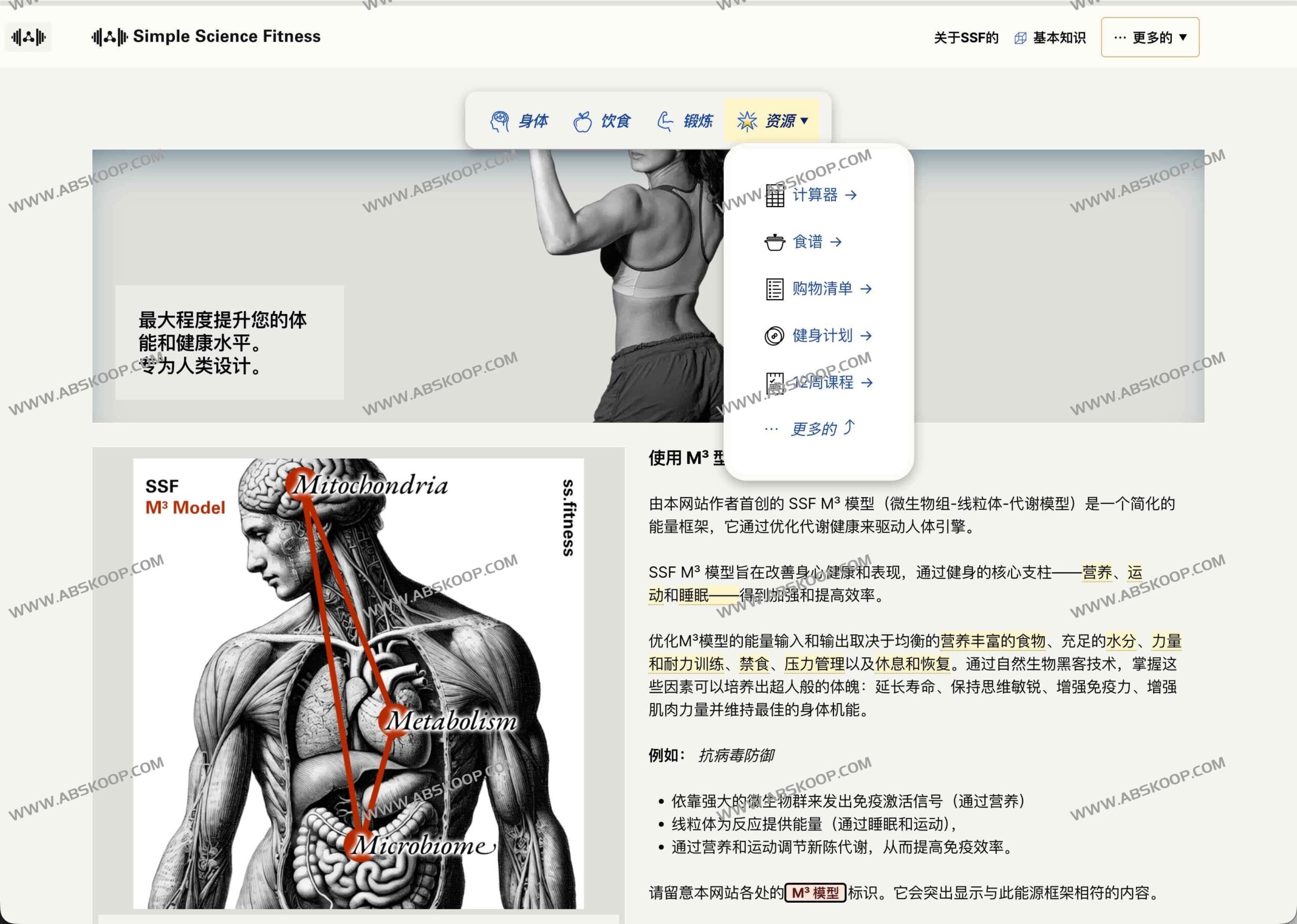 M³ 模型实操指南：通过极简训练与营养方案实现科学瘦身与长寿