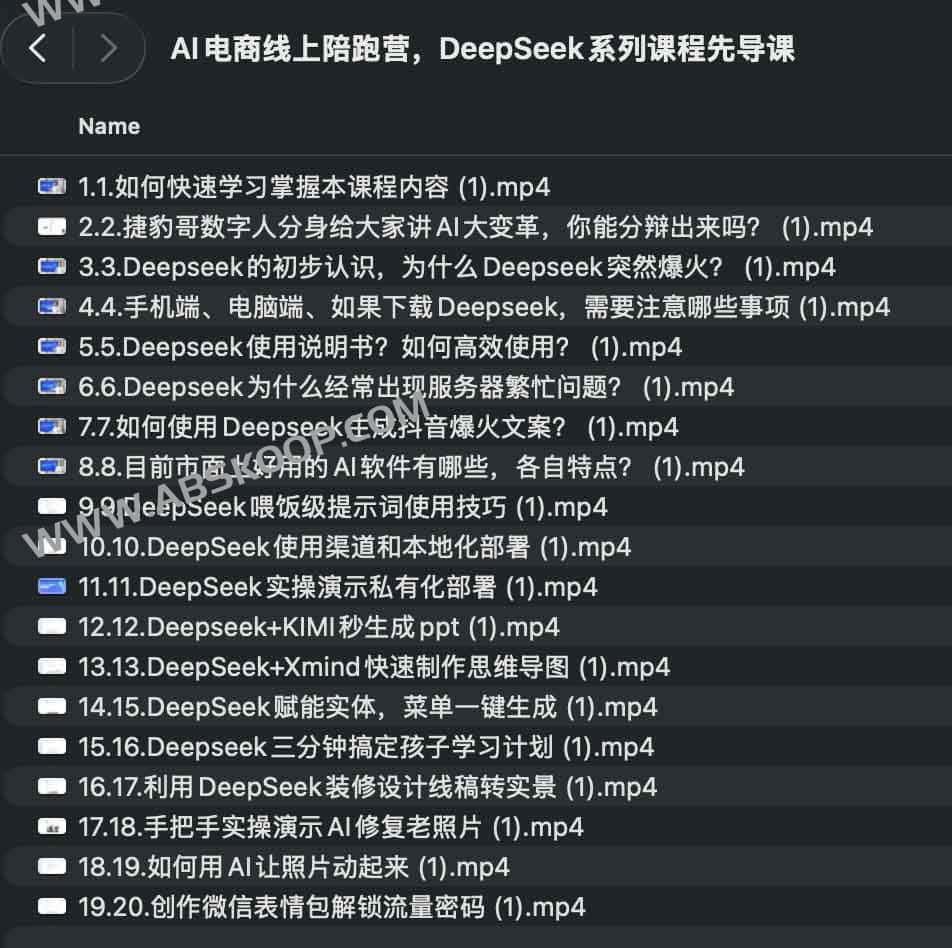 DeepSeek 实战赋能电商增长：从 AI 工具应用到线上陪跑全链路实操指南