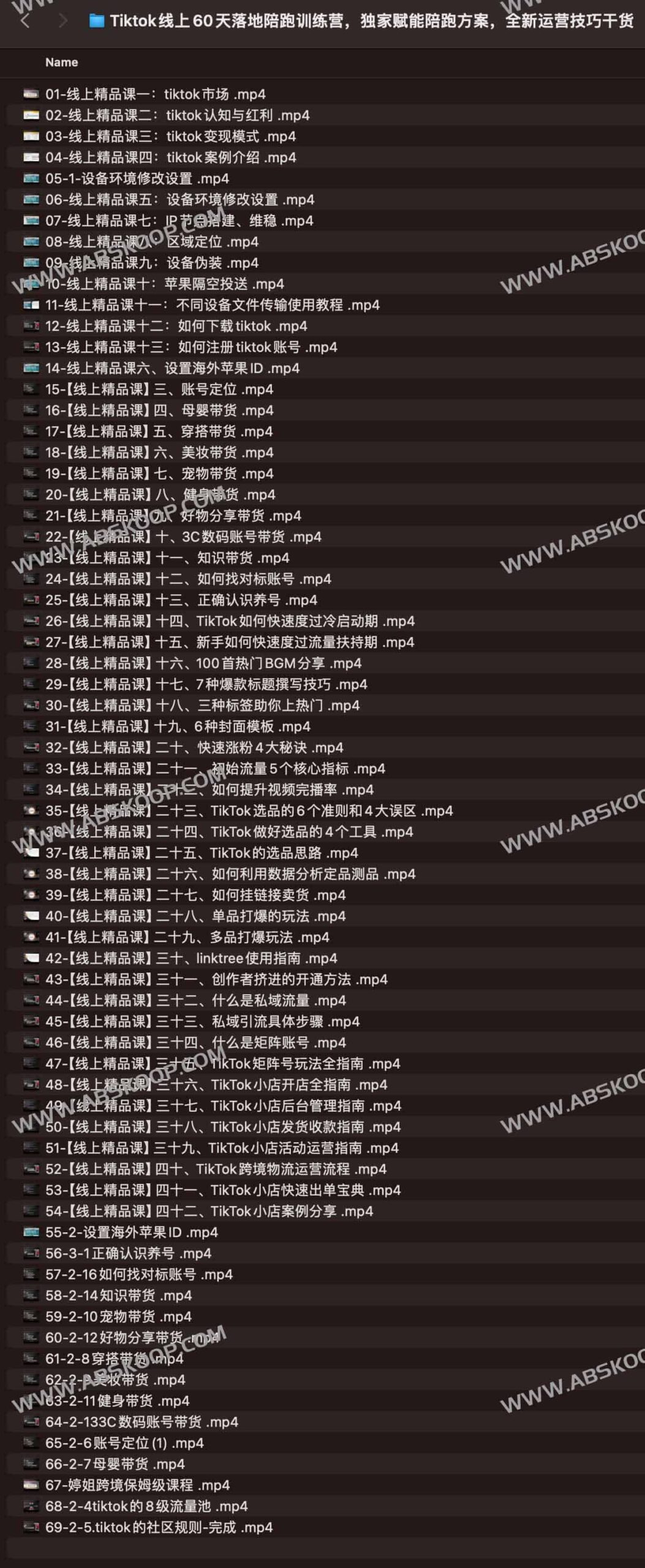 TikTok 60 天全流程实操陪跑：从底层运营逻辑到高效获客的落地方案