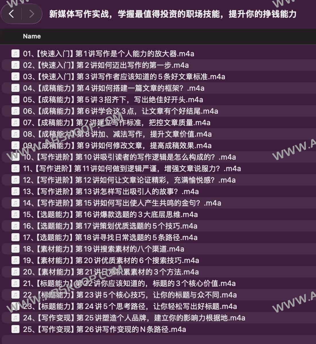 新媒体写作指南：通过掌握高价值职场技能提升变现能力