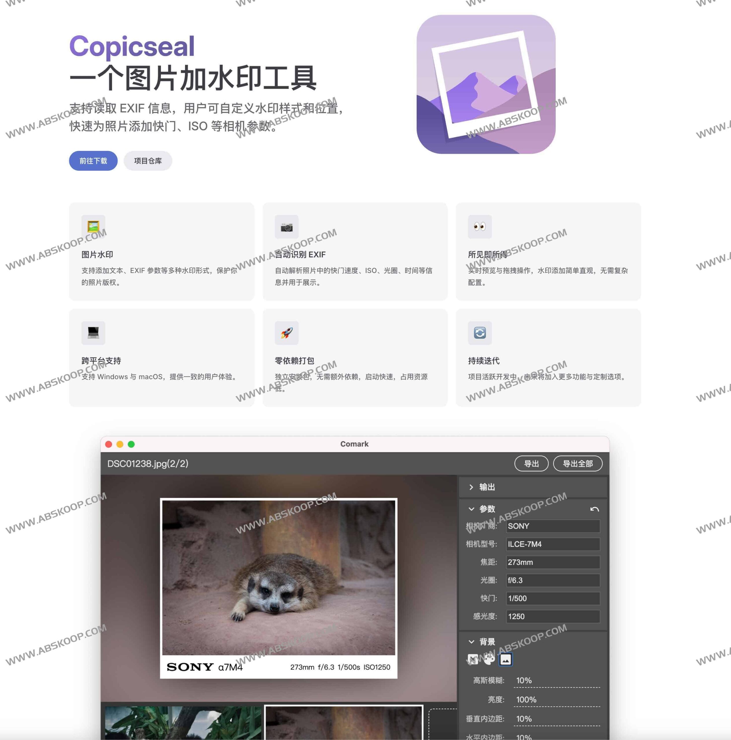 Copicseal 开源水印工具实测：通过 EXIF 自动识别实现高效图片标注