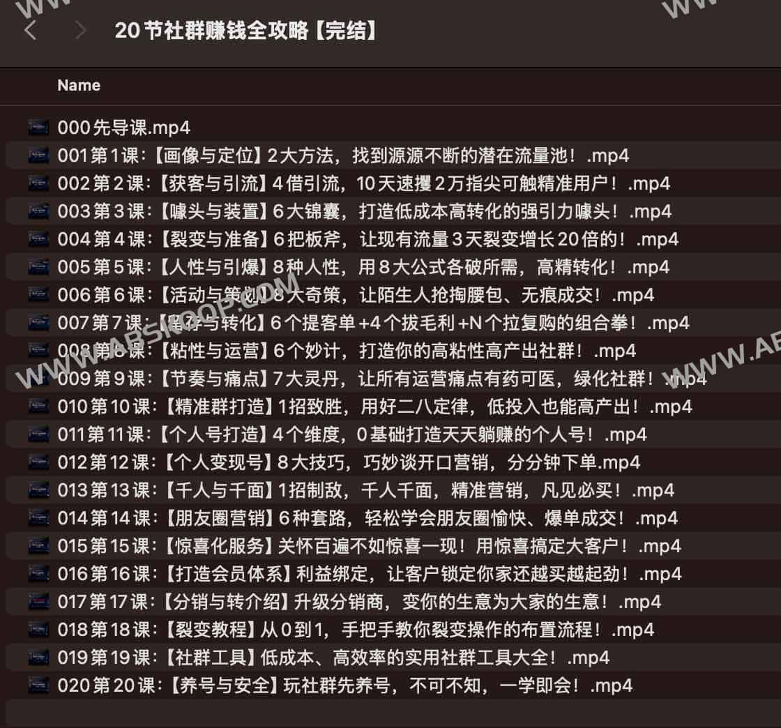 社群商业变现指南：20 个核心实操模块全解析