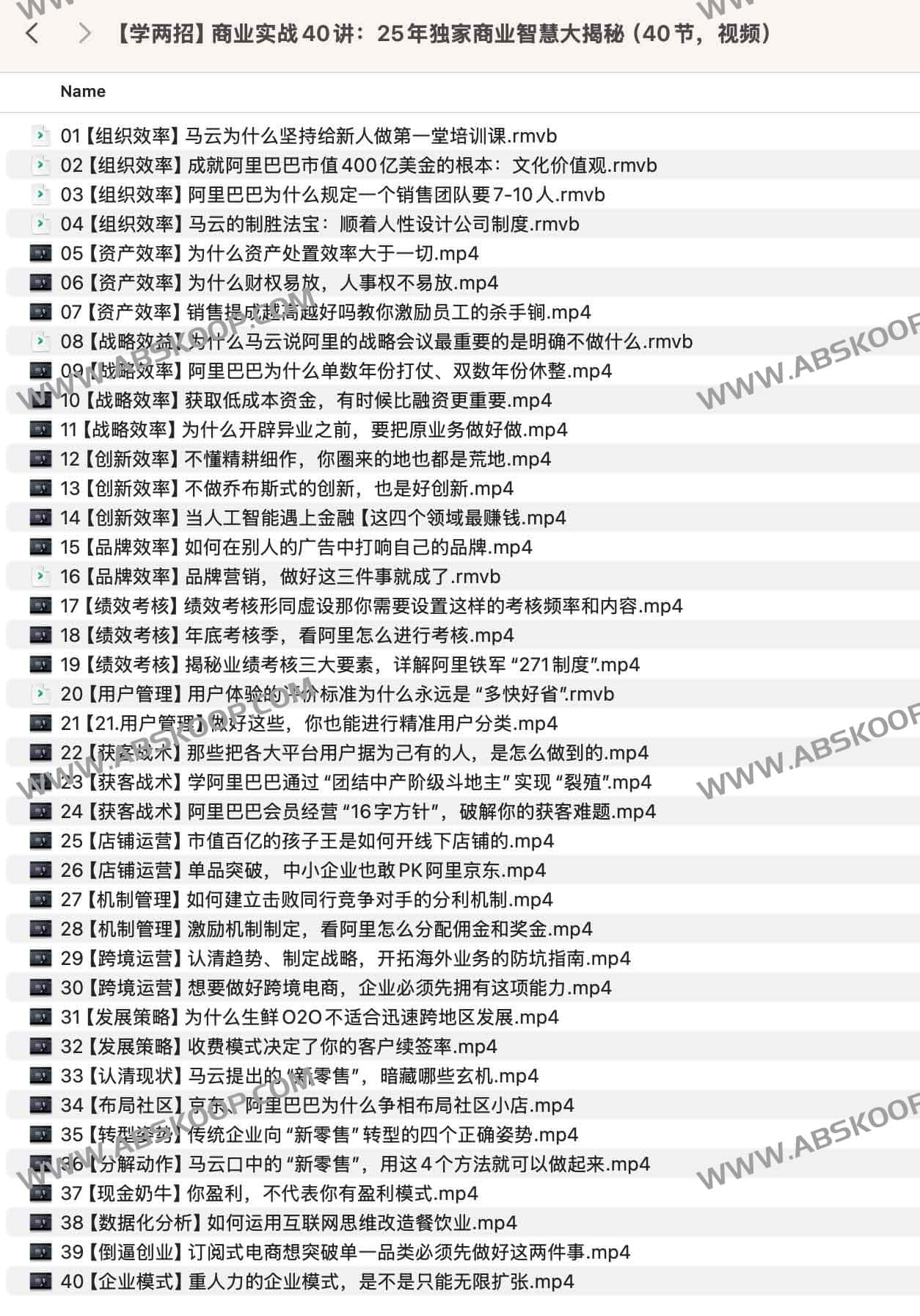 商业实战 40 讲:深度解析 2025 年商业逻辑与增长策略(视频课程) 商业实战 40 讲:深度解析 2025 年商业逻辑与增长策略(视频课程)
