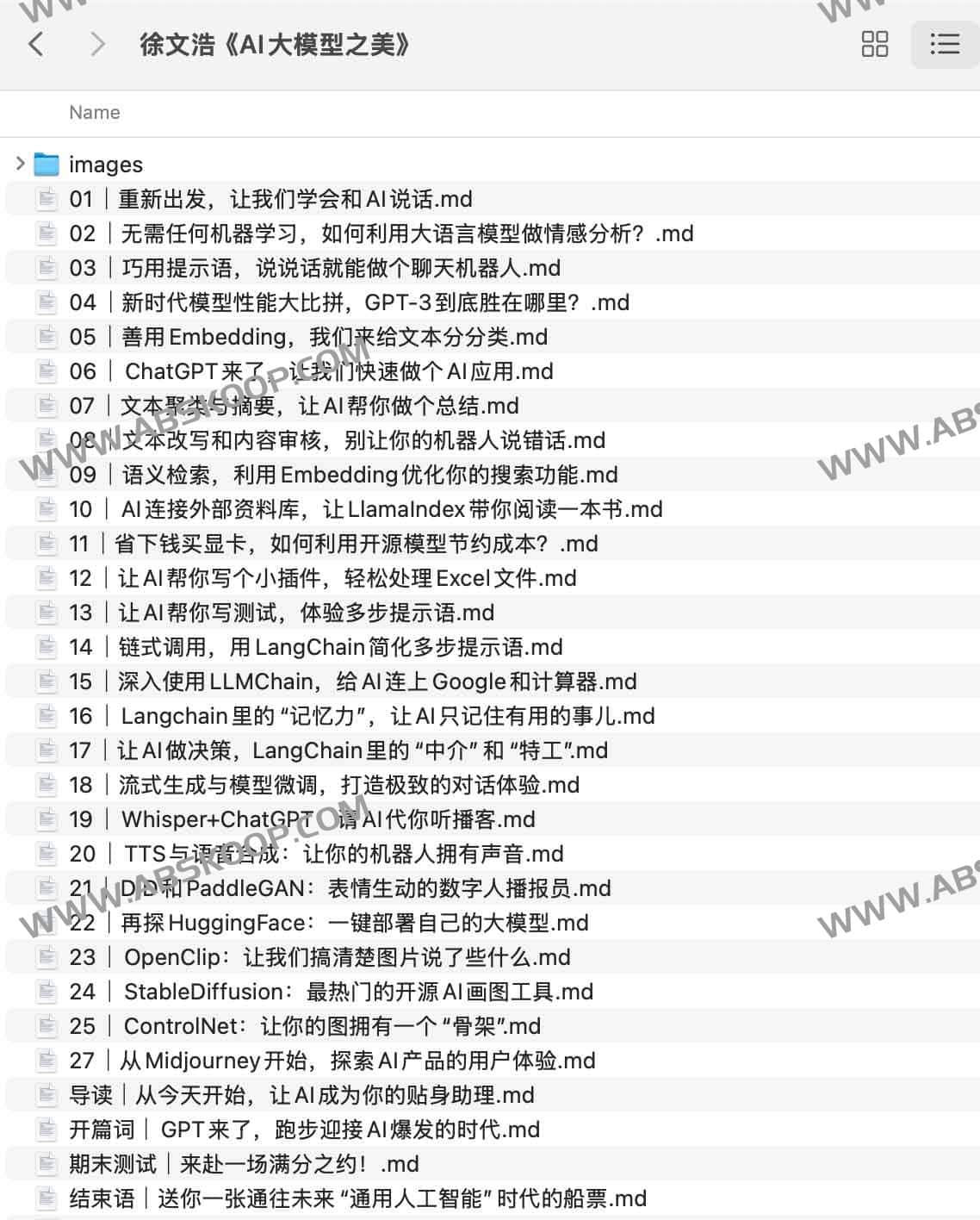 深度解析徐文浩《AI 大模型之美》：揭秘生成式人工智能的底层逻辑与演进路径