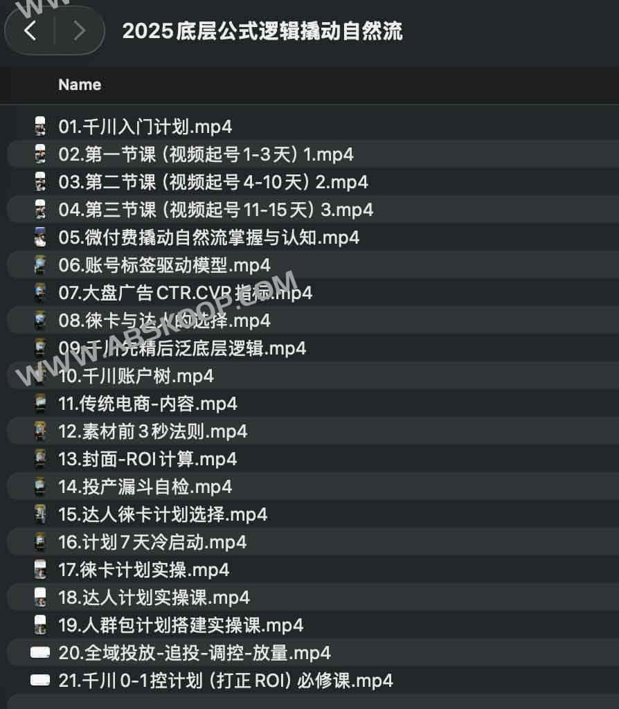2025 自然流增长逻辑详解:底层算法拆解与实操配置指南 2025 自然流增长逻辑详解:底层算法拆解与实操配置指南