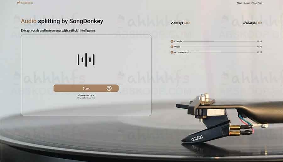 使用 SongDonkey 实现 AI 在线人声与伴奏分离的操作指南