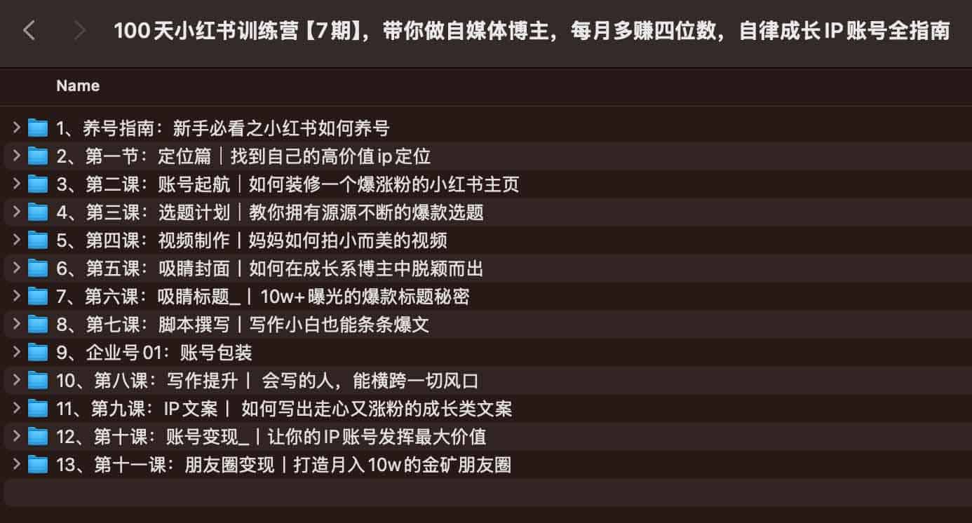 想在小红书起号却不知如何变现？这份 100 天自律成长指南教你打造个人 IP 并实现月入四位数增收