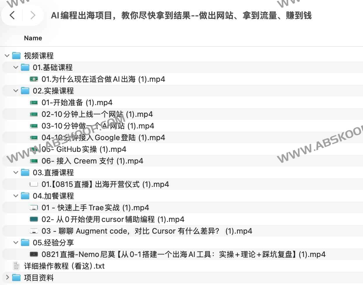 AI 编程出海实战指南：从快速构建产品到获取流量与实现商业变现的闭环路径