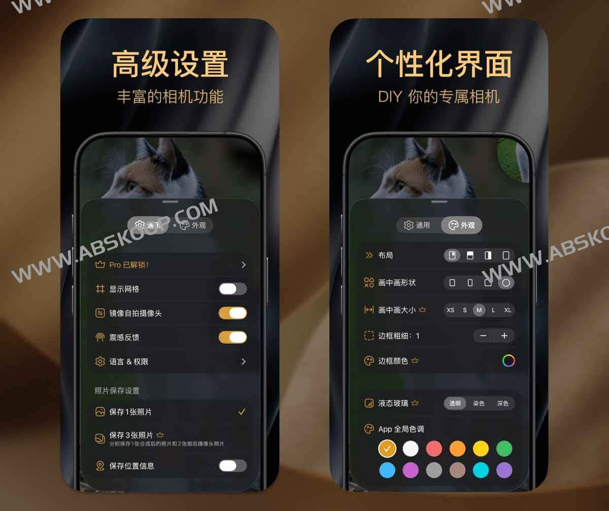 2Camera 内购限免：支持前后摄像头同步拍摄与画中画分屏，适用于双视角视频创作