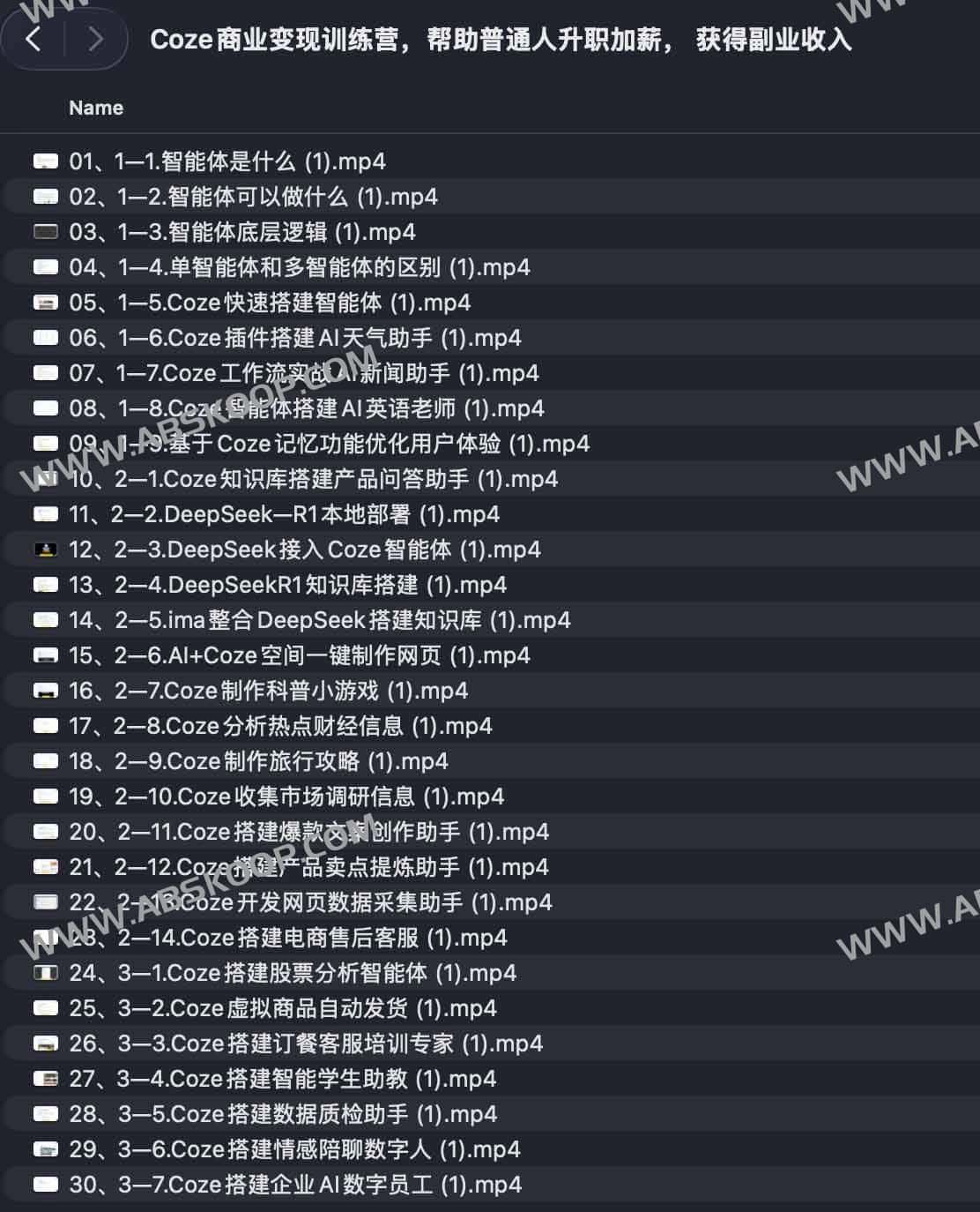 Coze AI 商业化实战指南：通过掌握智能体构建能力，实现职场竞争力提升与多元化增收