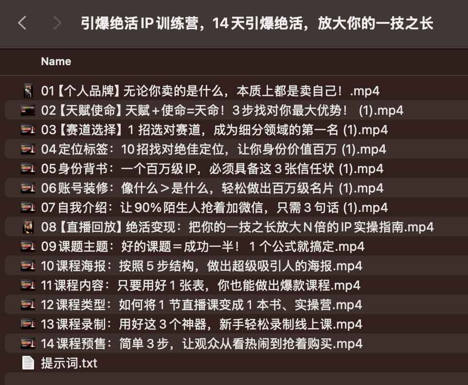 如何将一项专业技能快速转化为高价值个人 IP？这份 14 天实操训练计划为你拆解