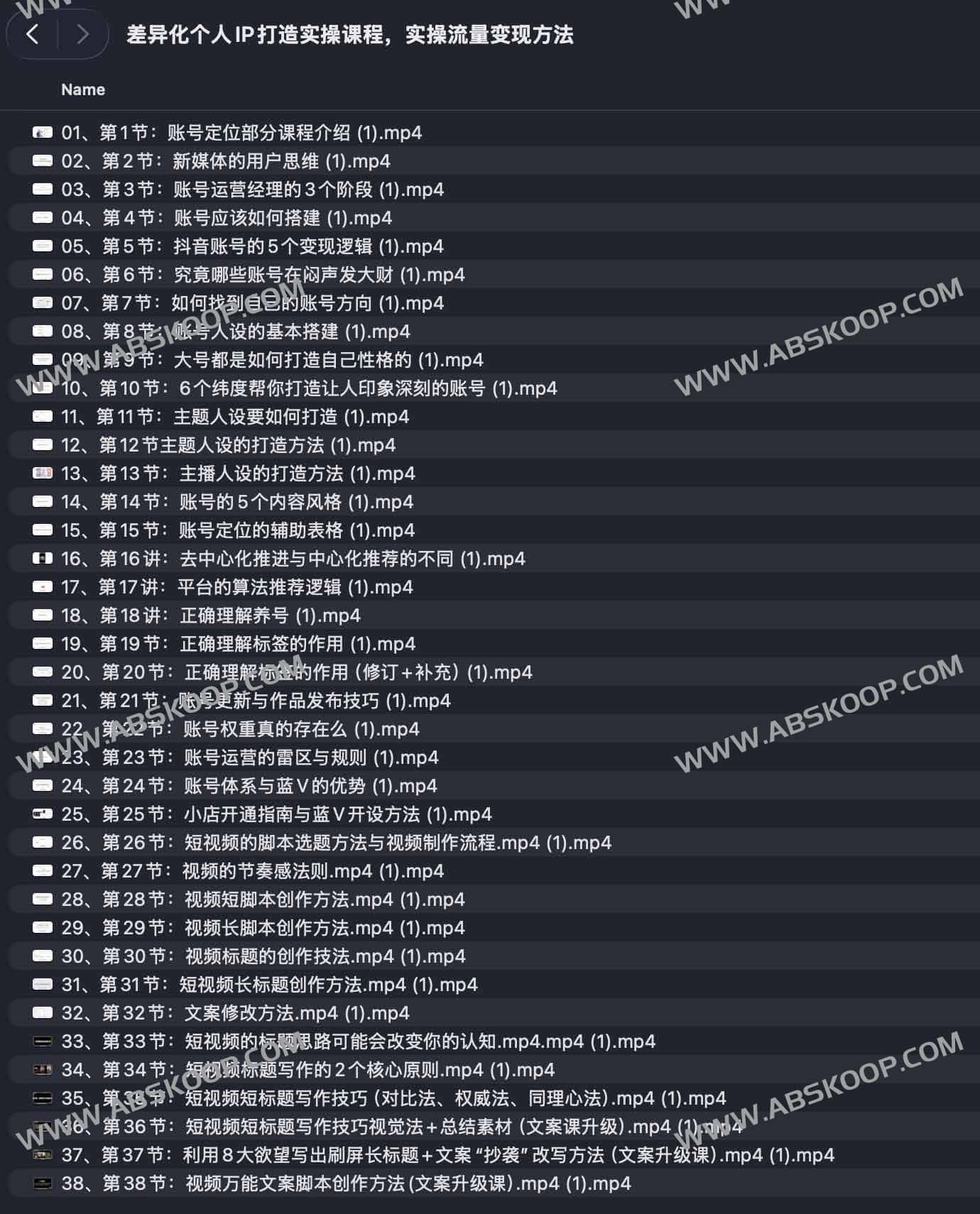 打造差异化个人 IP 及流量变现的实操指南：从定位到盈利的执行步骤