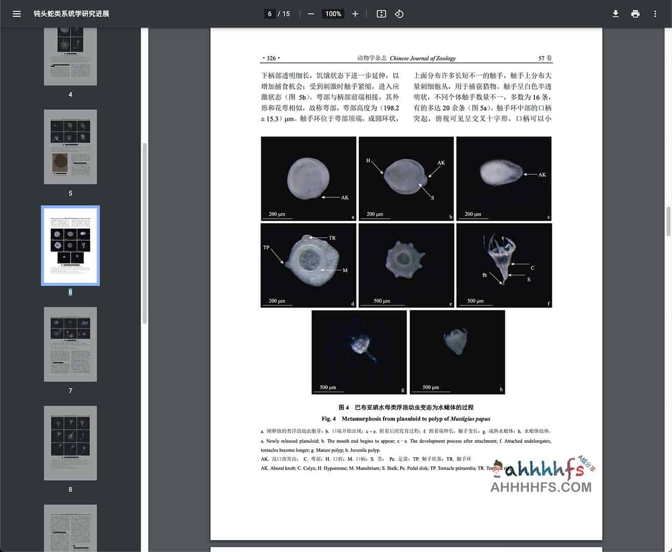 分步获取中科院动物杂志 1957-2022 全期 PDF 电子版的操作指南