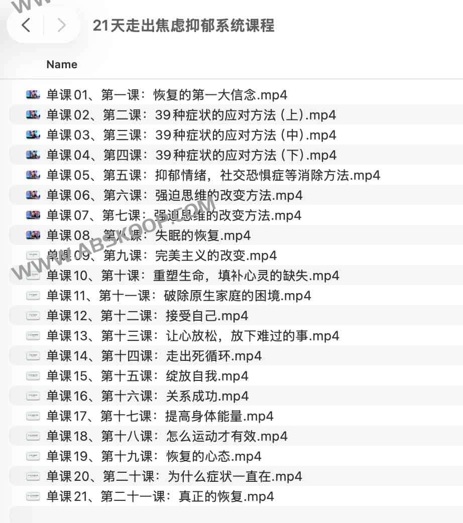 21 天情绪重建计划：通过系统化认知干预走出焦虑与抑郁