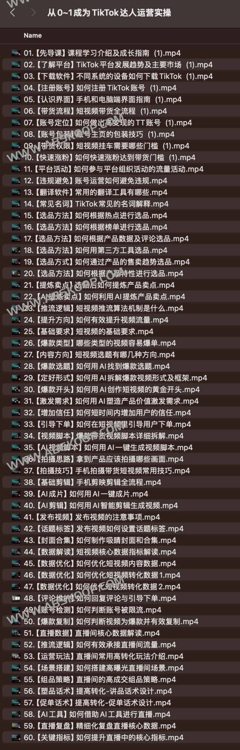 TikTok 达人运营全流程:从账号起号到商业变现的实操指南 TikTok 达人运营全流程:从账号起号到商业变现的实操指南