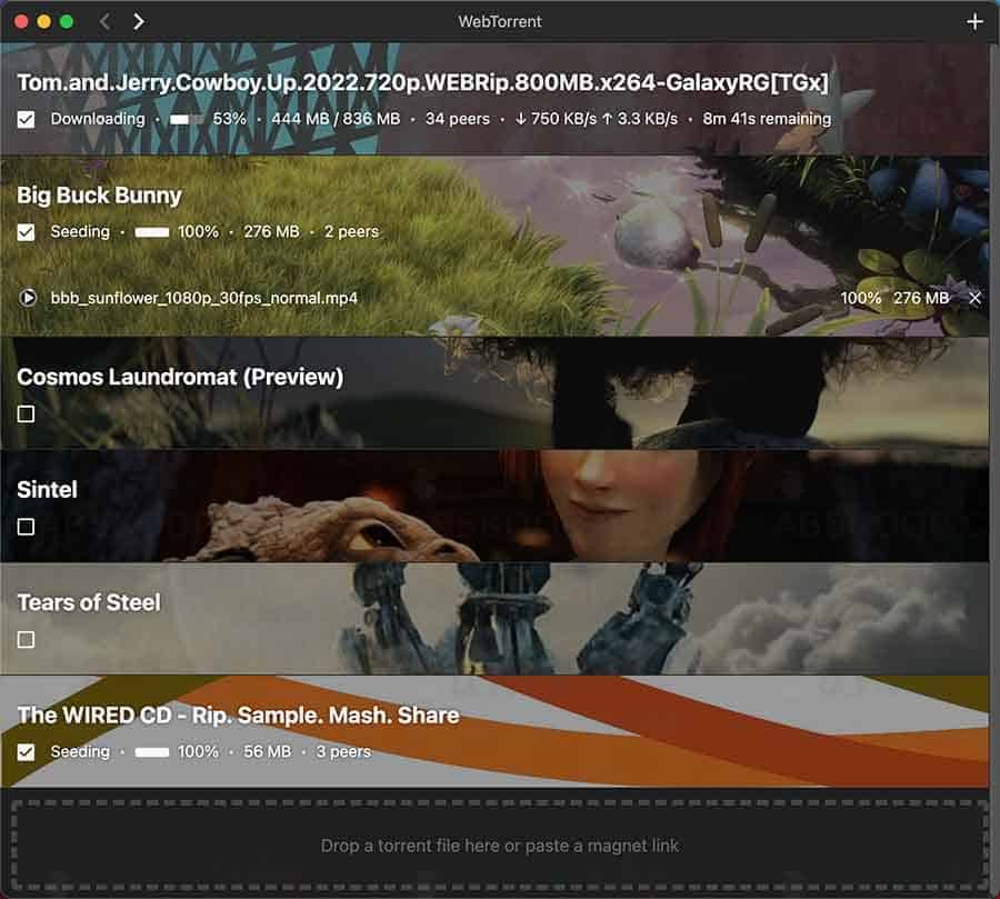 WebTorrent Desktop：无需下载即可实时播放磁力链接的桌面端工具