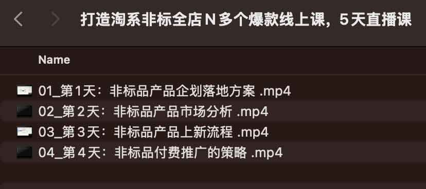 5 天实操指南：打造淘系非标品类全店爆款的直播课程步骤
