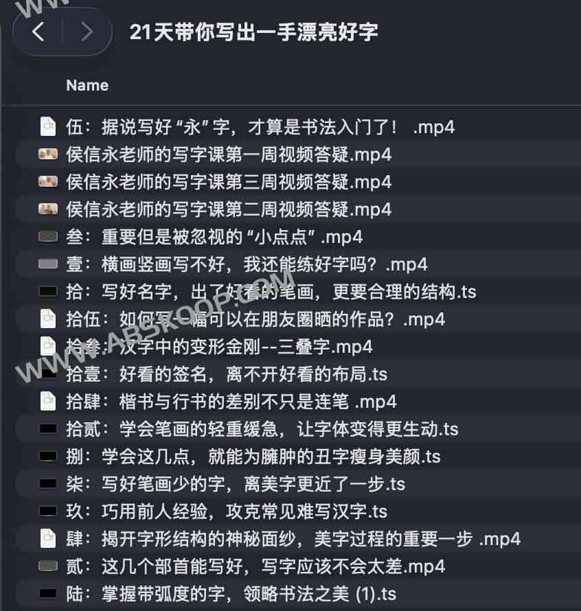 21 天书法速成：从基础到实操的练字进阶指南