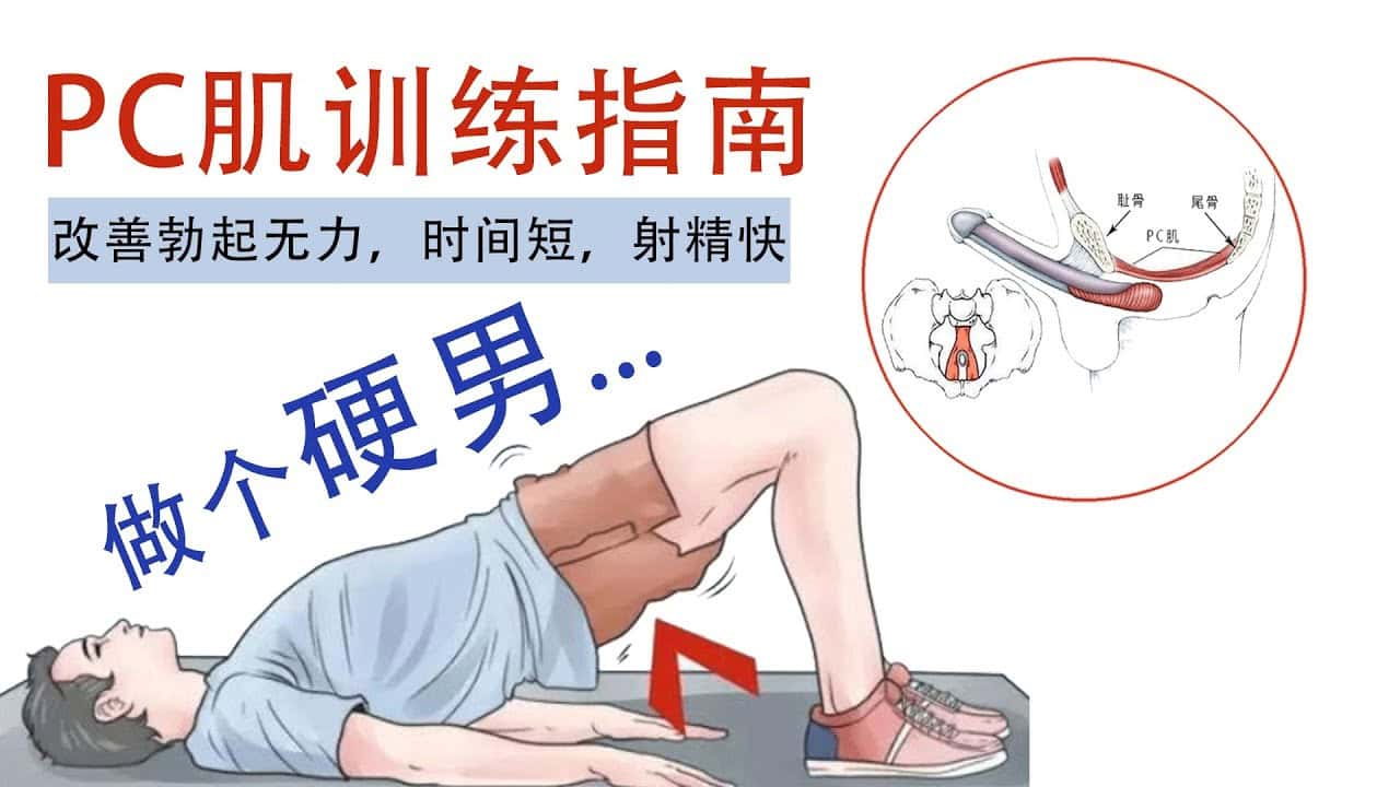 PC 肌锻炼指南：通过每日 10 分钟训练提升生活质量的实用步骤