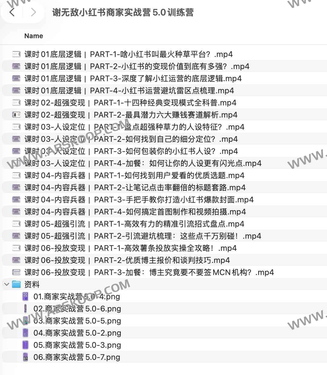 谢无敌小红书商家实战营 5.0 课程资源：适用电商运营实操及获取指南