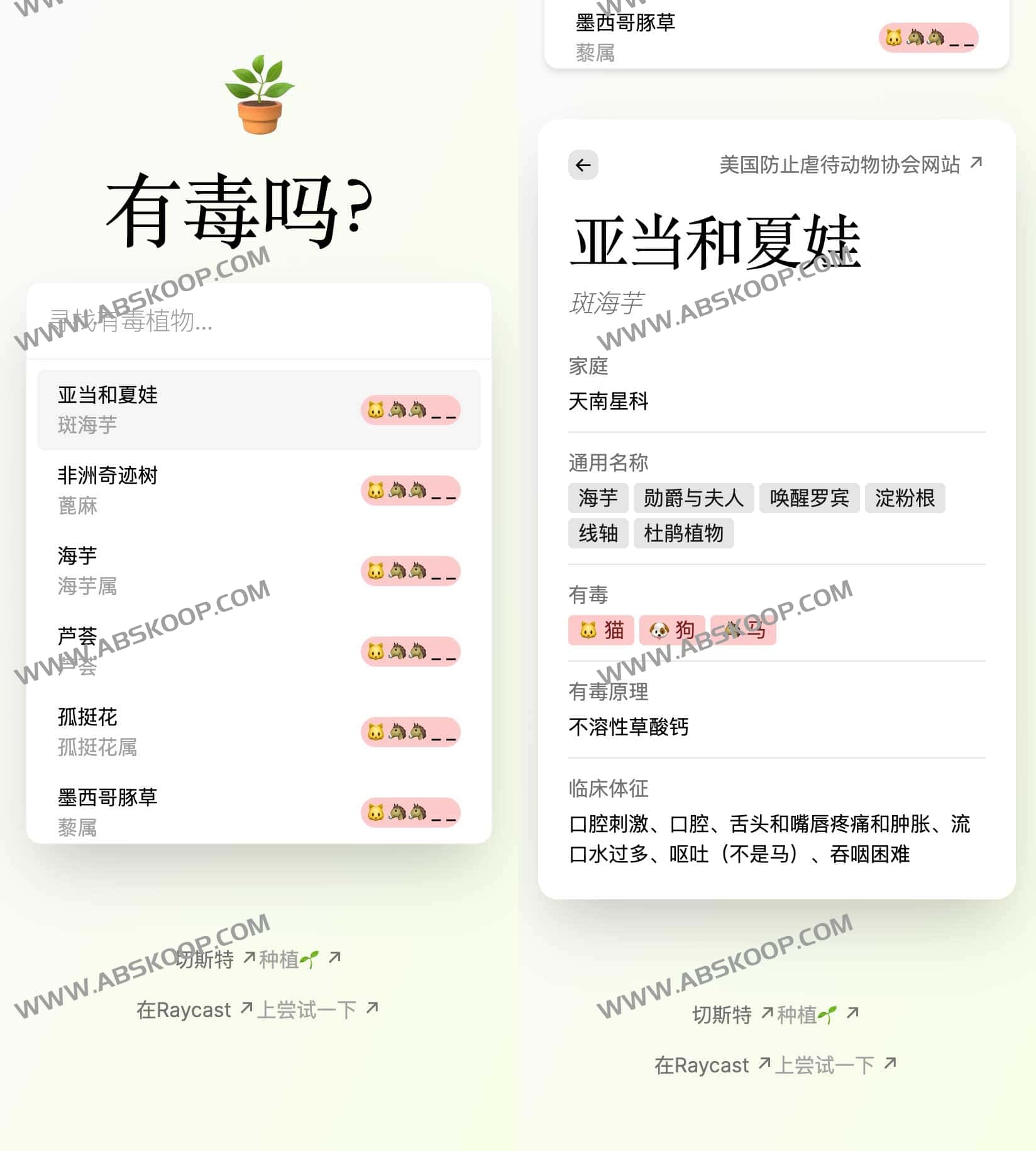 想知道家里养的植物是否会毒害宠物?试试这个宠物植物毒性检测工具 想知道家里养的植物是否会毒害宠物?试试这个宠物植物毒性检测工具