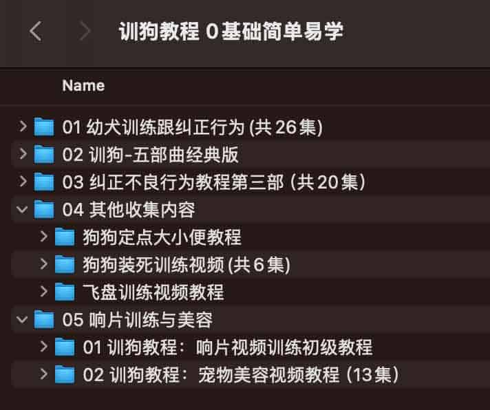零基础宠物犬训练指南：从专业训犬师视角掌握实操技巧