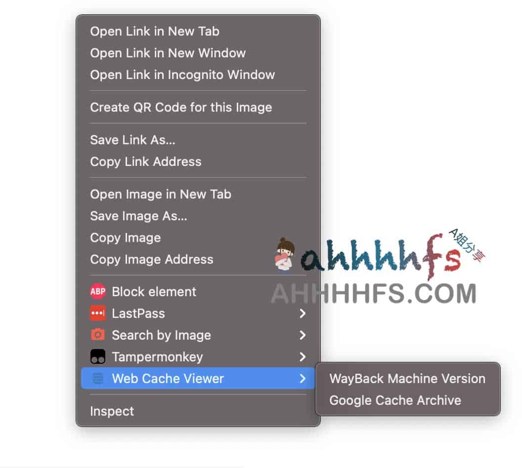 如何使用 Web Cache Viewer 查看 Google 页面快照与网页缓存 如何使用 Web Cache Viewer 查看 Google 页面快照与网页缓存