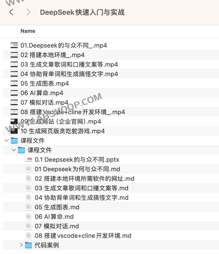 DeepSeek 部署指南：从环境配置到实战应用全流程