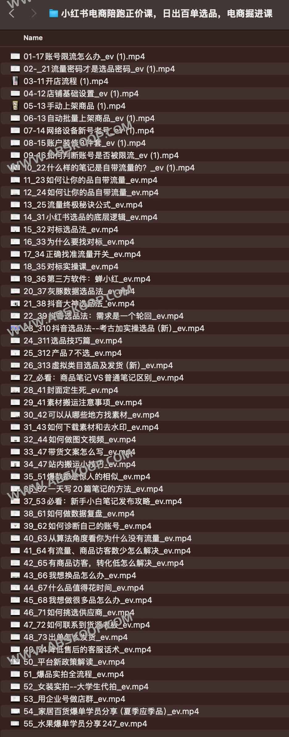 小红书电商选品陪跑实操课:日出百单策略与课程获取指南 小红书电商选品陪跑实操课:日出百单策略与课程获取指南