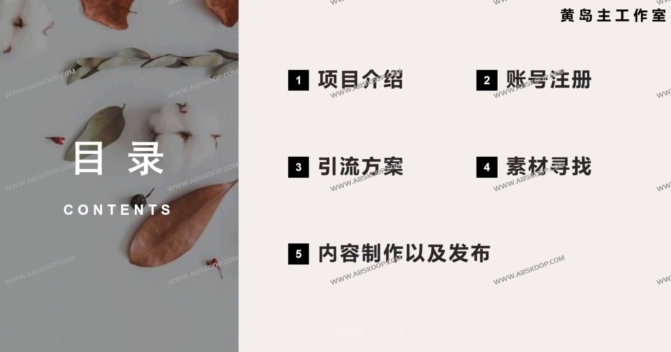 小红书全行业引流实操指南：涵盖养号逻辑、内容制作与获客链路