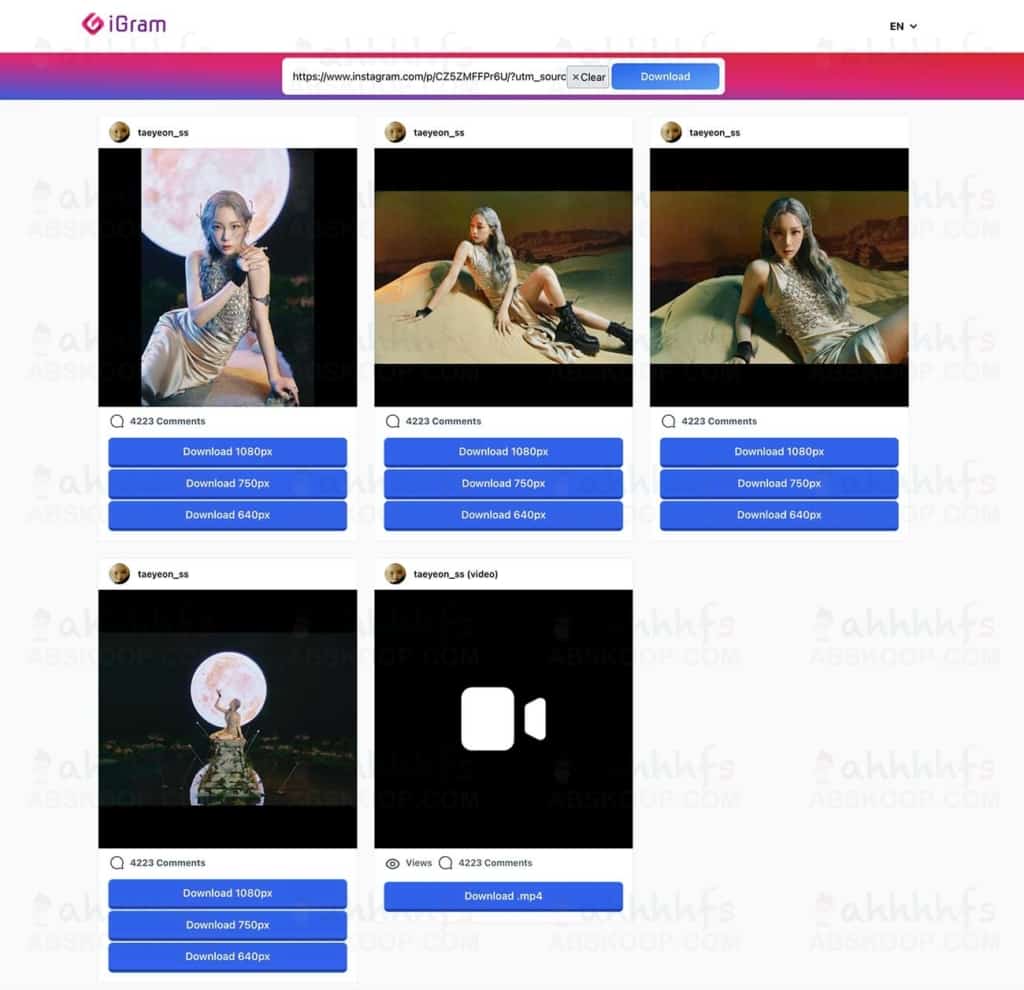 iGram：Instagram 下载器 在线下载 Instagram 视频图片