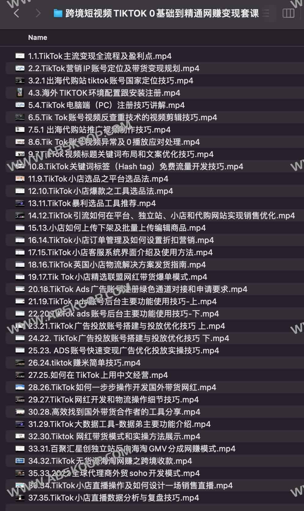 TikTok 跨境短视频带货指南:从零起步至独立站变现全流程 TikTok 跨境短视频带货指南:从零起步至独立站变现全流程