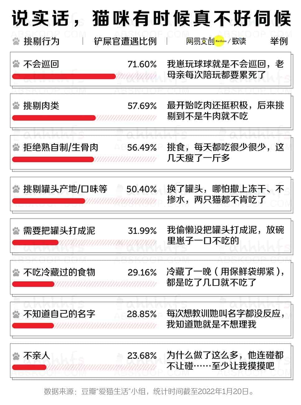 想养猫但担心照顾不周?在决定接它回家前,请先确认你能接受这些现实 想养猫但担心照顾不周?在决定接它回家前,请先确认你能接受这些现实