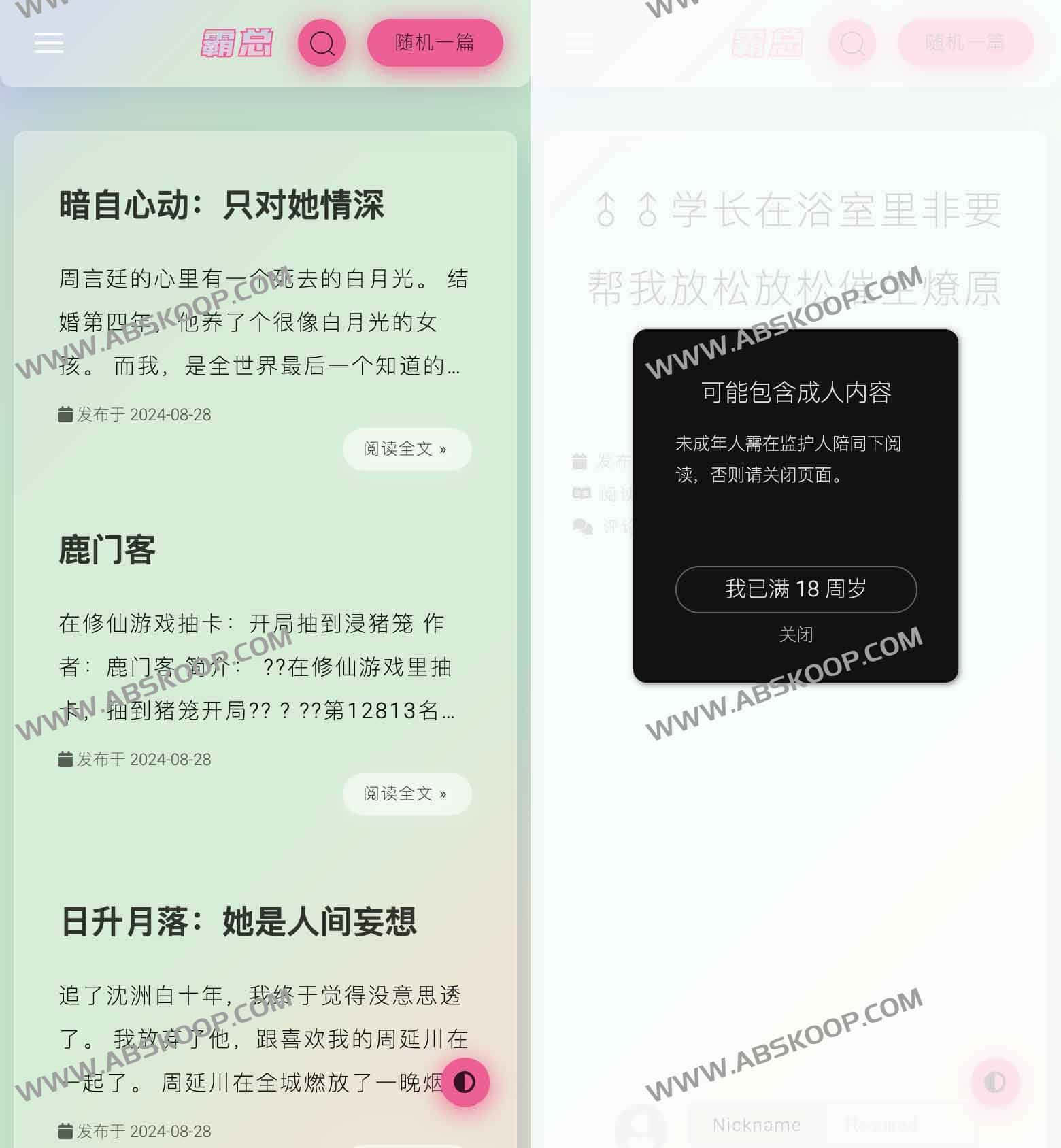 盐选会员内容免费获取指南：适用环境与访问注意事项