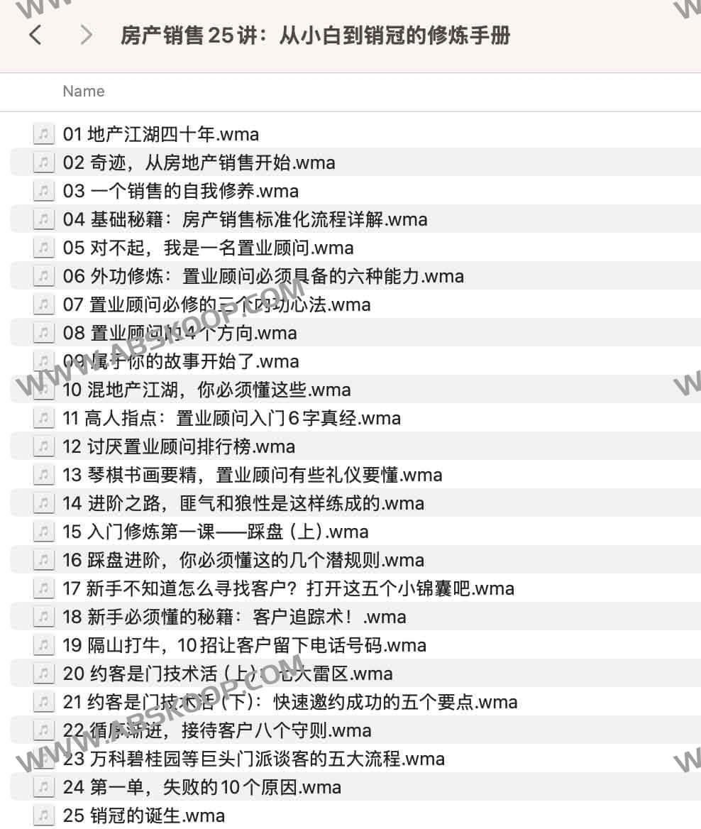 房产销售实战指南:从入门到顶尖业绩的 25 个核心能力维度 房产销售实战指南:从入门到顶尖业绩的 25 个核心能力维度
