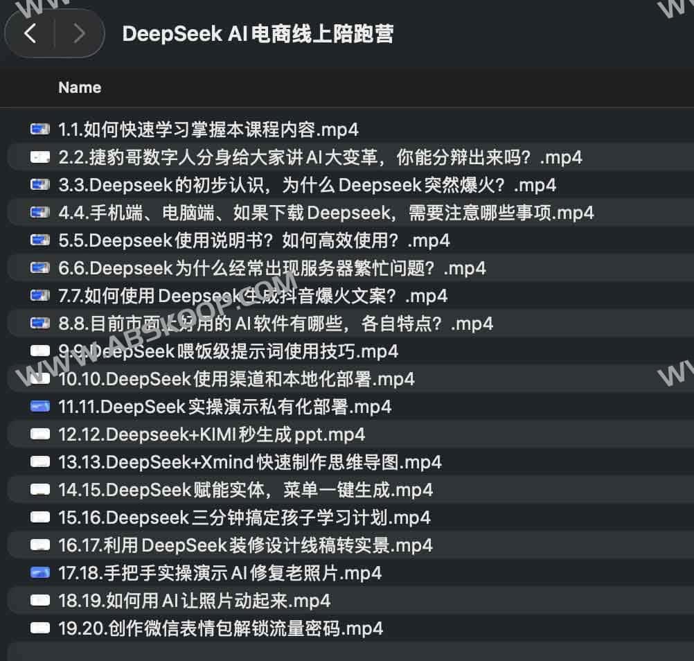 DeepSeek AI 电商实战陪跑：从模型部署到全链路业绩增长