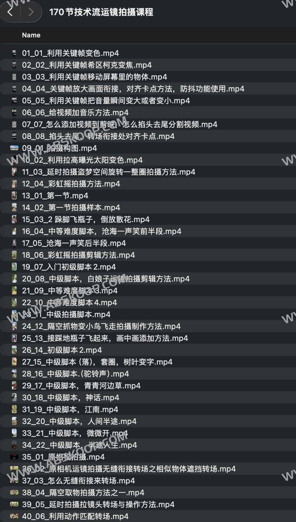 运镜拍摄全指南:170 节技术流实战课程 运镜拍摄全指南:170 节技术流实战课程