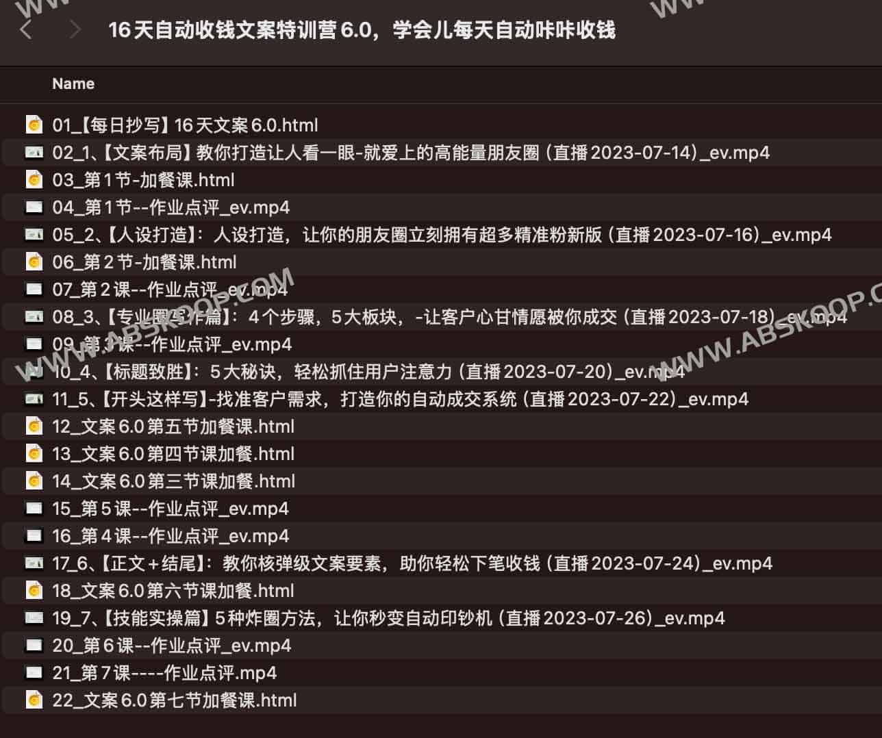 16 天自动化获客文案特训营 6.0:实操变现技巧与全流程指南 16 天自动化获客文案特训营 6.0:实操变现技巧与全流程指南