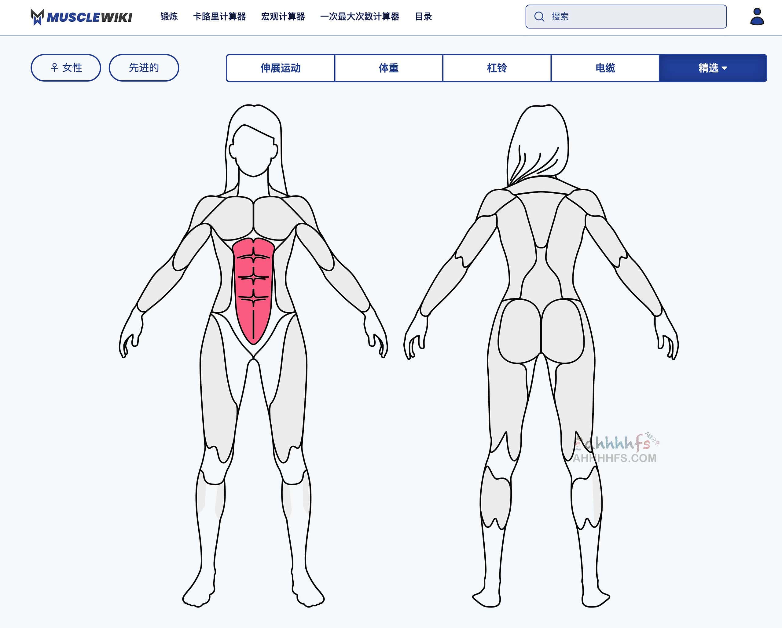 MuscleWiki 全方位实操指南：如何利用交互式肌肉图谱高效规划健身计划