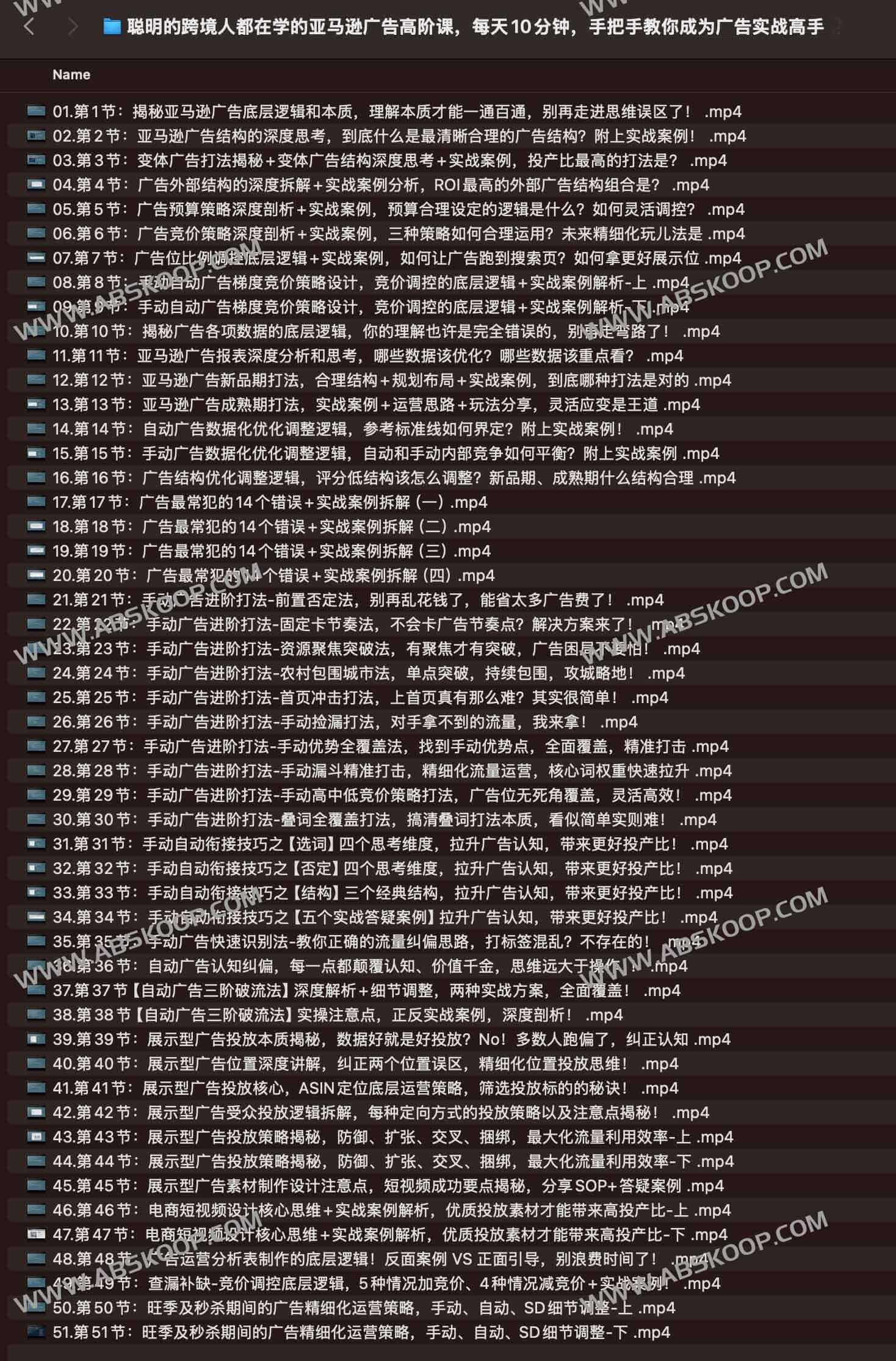 亚马逊广告高阶实操指南：每日 10 分钟进阶方案与实战要点解析