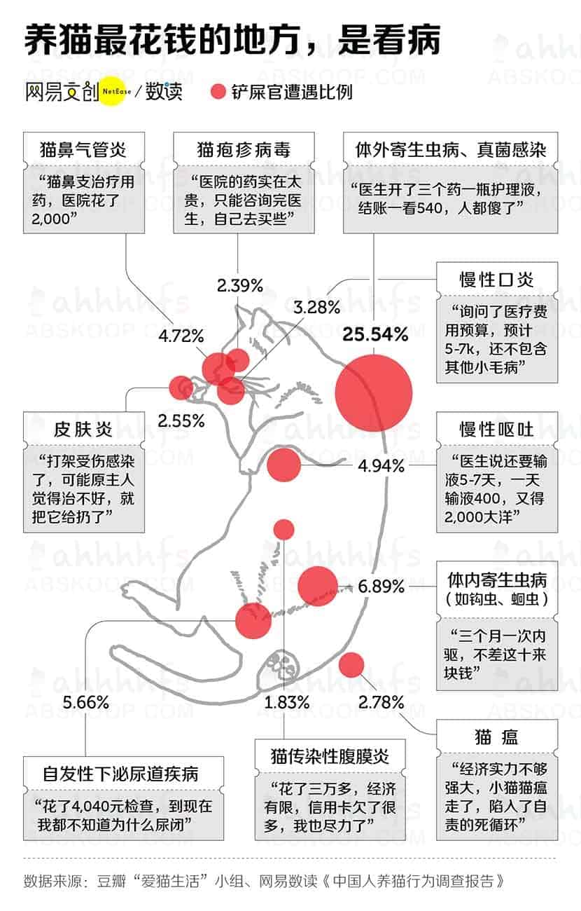 想养猫但担心照顾不周?在决定接它回家前,请先确认你能接受这些现实 想养猫但担心照顾不周?在决定接它回家前,请先确认你能接受这些现实