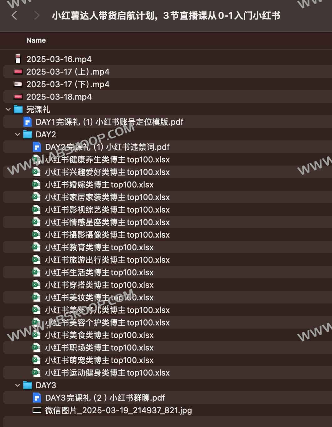 小红书达人带货入门指南:通过 3 节直播课快速上手实操步骤 小红书达人带货入门指南:通过 3 节直播课快速上手实操步骤