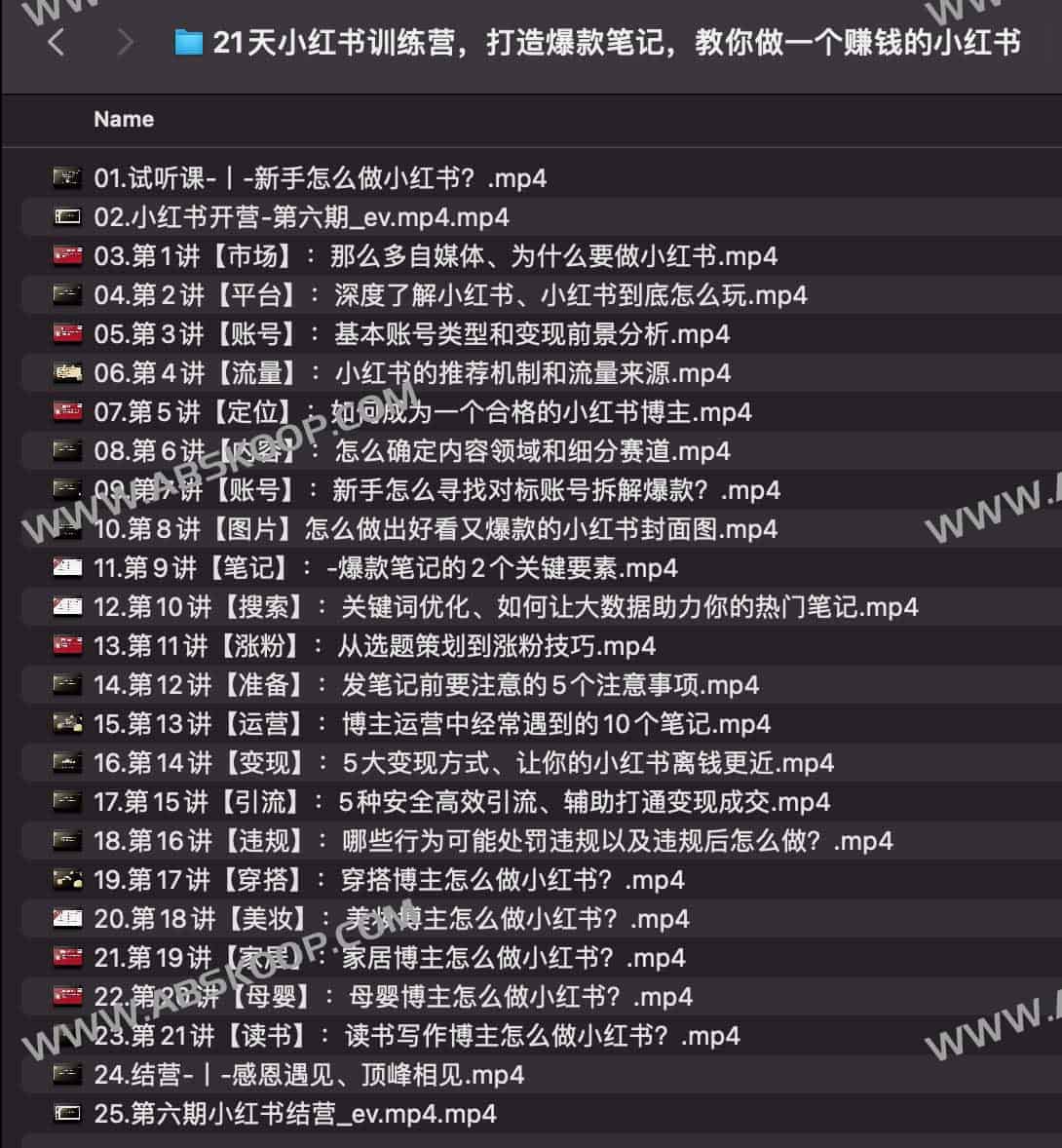 从零起步:苏阿九 21 天小红书爆款笔记打造与变现实操指南 从零起步:苏阿九 21 天小红书爆款笔记打造与变现实操指南