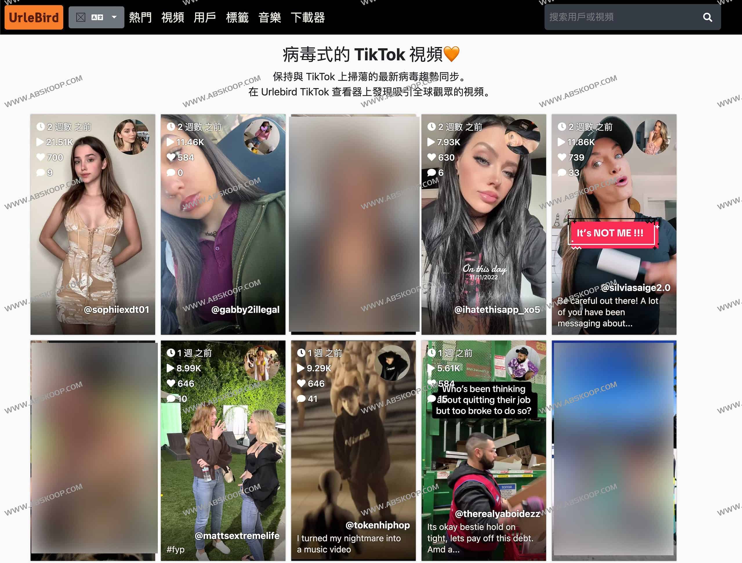 Urlebird 使用指南:无需账号在线浏览 TikTok 视频的镜像访问方案 Urlebird 使用指南:无需账号在线浏览 TikTok 视频的镜像访问方案